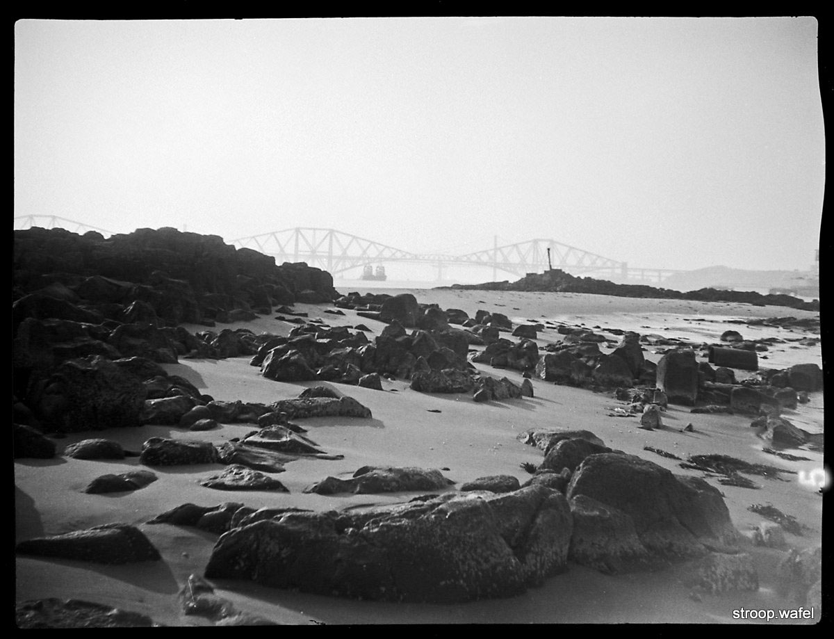 click image for photos Gelto-DIII photo