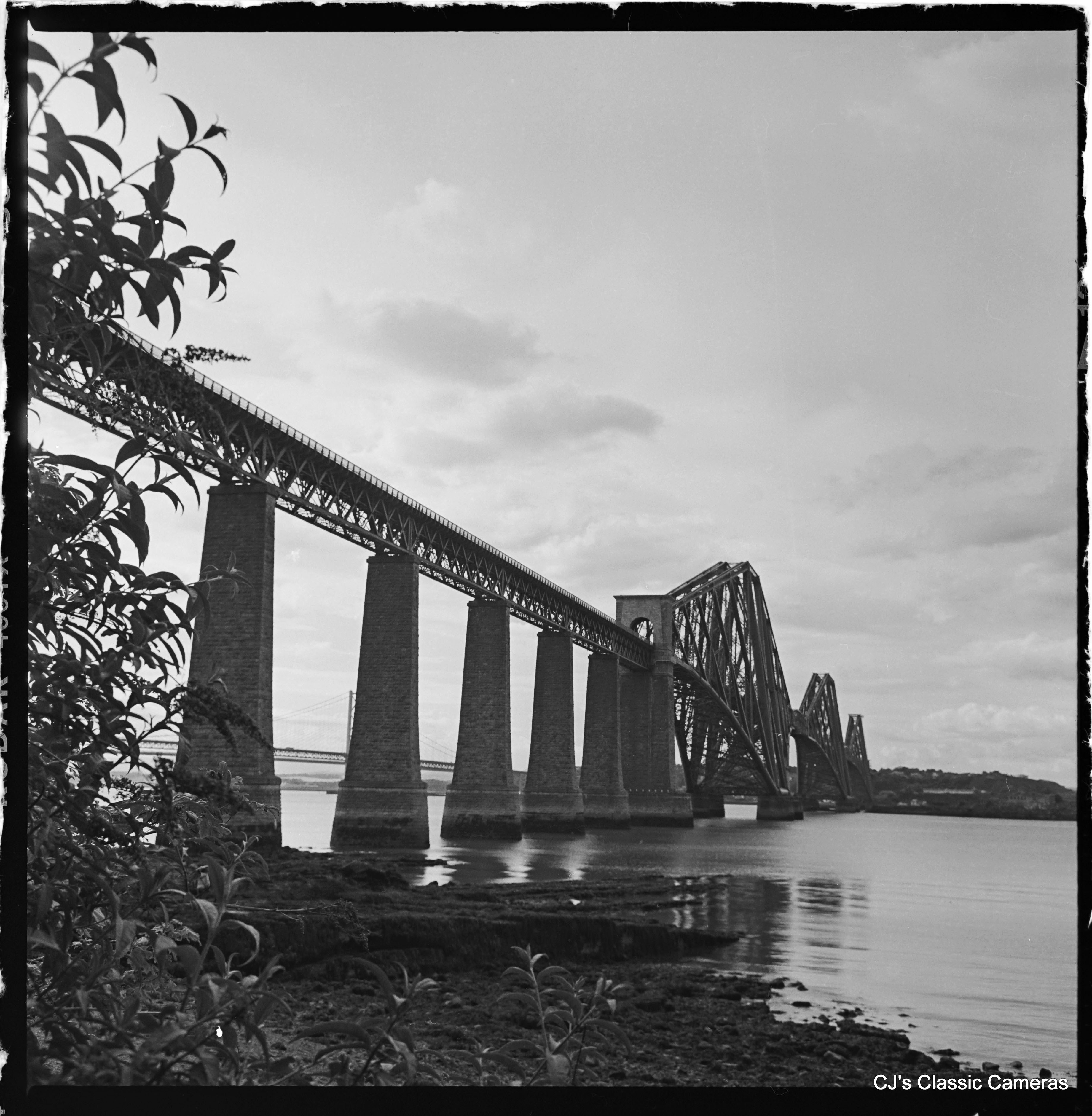 click image for photos Rolleiflex 3.5F