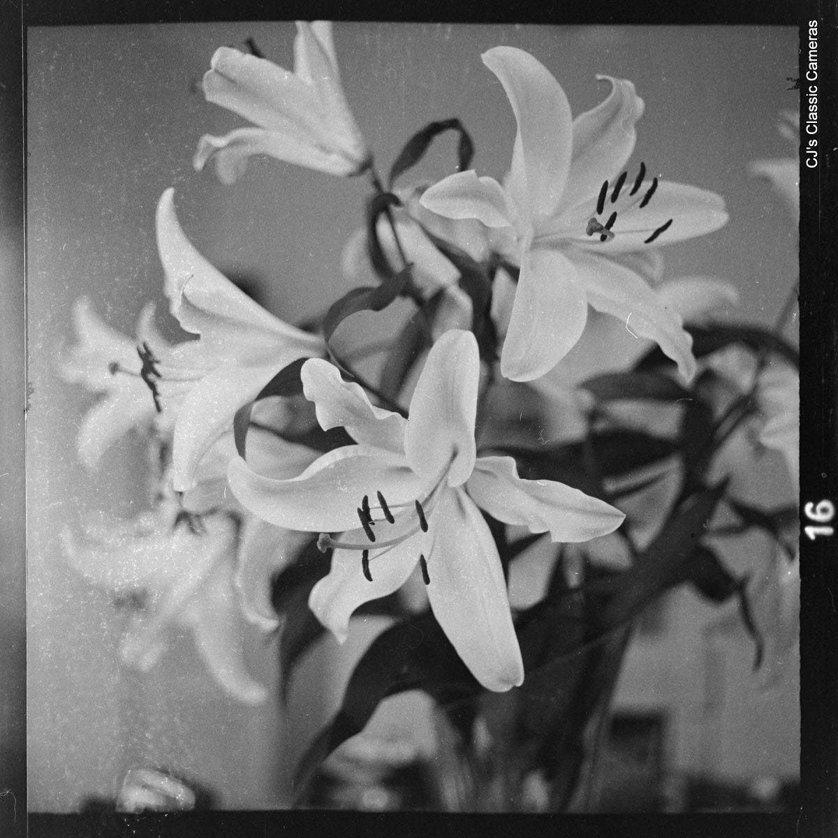 click image for photos Walz Automat 44