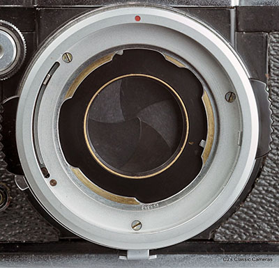 Braun Paxette Reflex Automatic photo