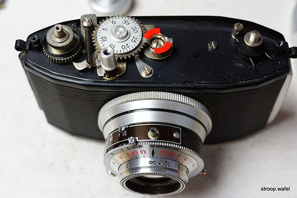 King Regula I-P photo