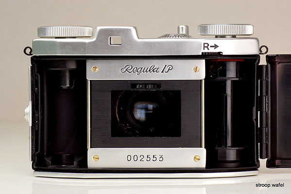 King Regula IP photo