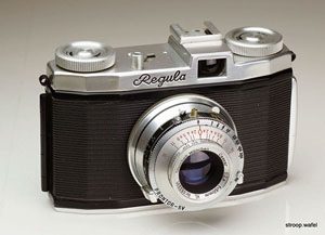 King Regula IP photo